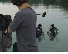 bestemming vlaanderen