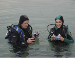 bestemming vlaanderen